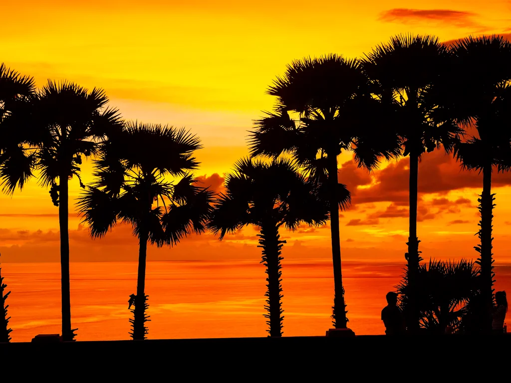Palm trees silhouetted against sunset at Promthep Cape in Phuket